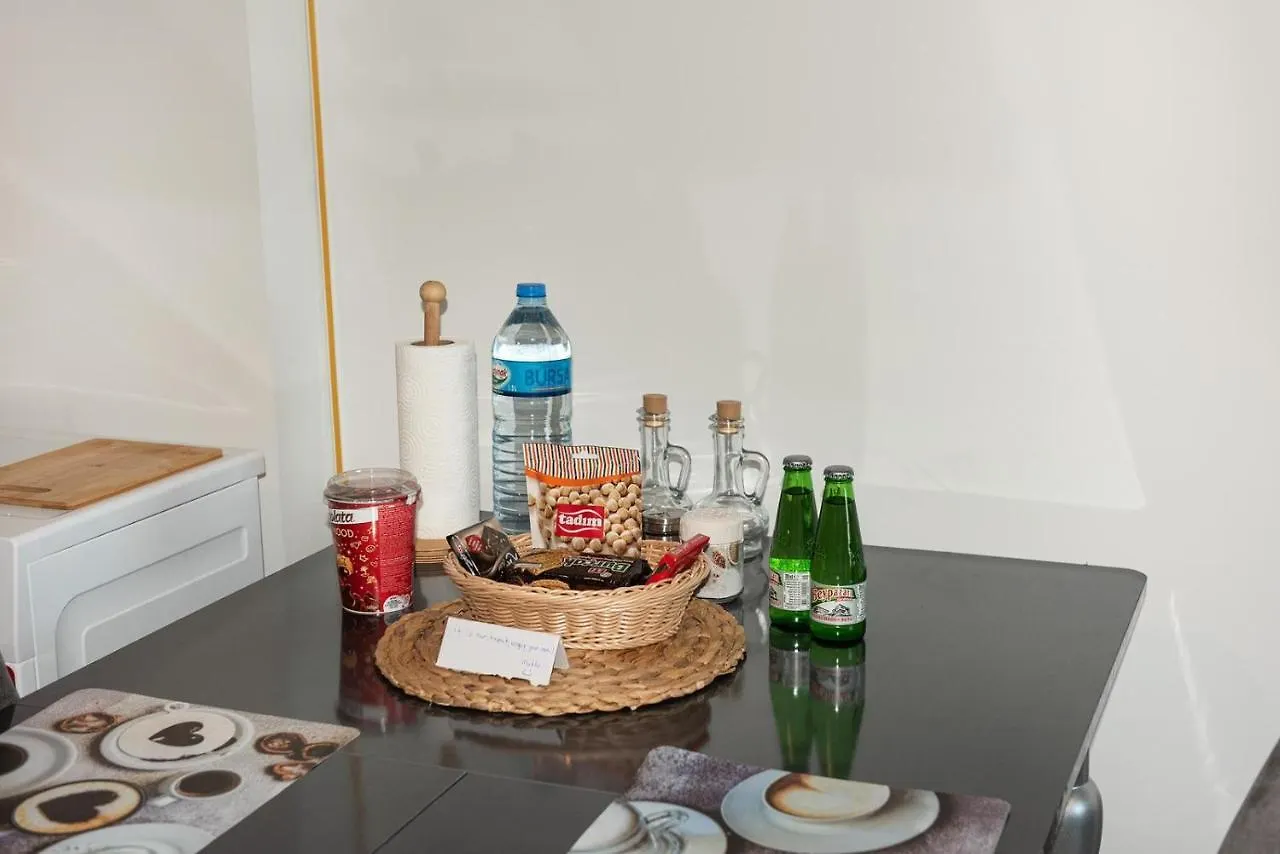 Flora Rezidance Atasehir Apartment Istanbul